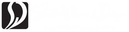 Sketch Whims & Design